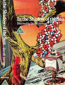 В тени солнца