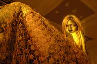 Кадр Больные медсестры