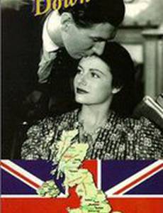 Звезды смотрят вниз