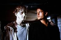 Кадр Кладбище домашних животных