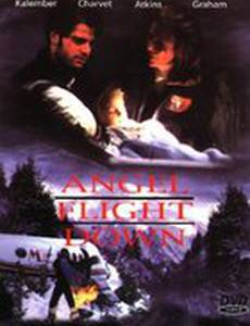 Падение борта «Ангел»