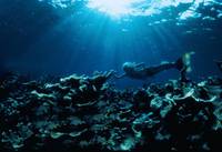 Кадр Всплеск