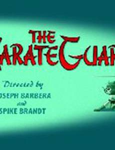 Том и Джерри: Каратист-хранитель