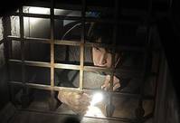 Кадр Остров Харпера