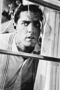 Кадр Главный свидетель