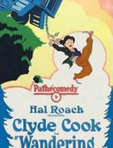 Дел невпроворот