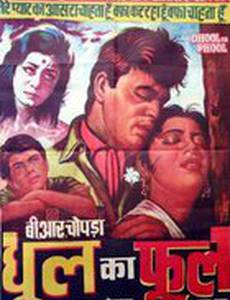 Цветок в пыли