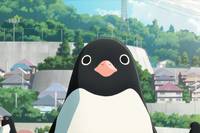 Кадр Тайная жизнь пингвинов 