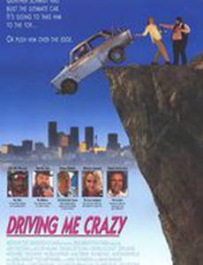 Сумасшедшая история