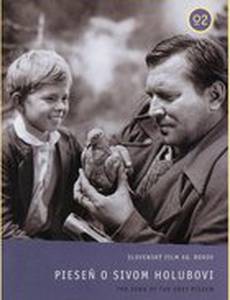 Песня о сизом голубе