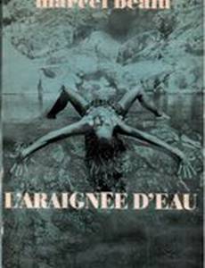 L'araignée d'eau