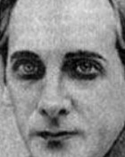 Александр Волков фото