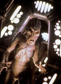 Кадр Томминокеры