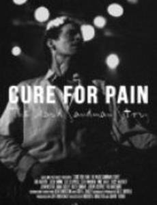 Cure for Pain: The Mark Sandman Story