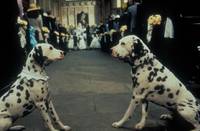 Кадр 101 далматинец