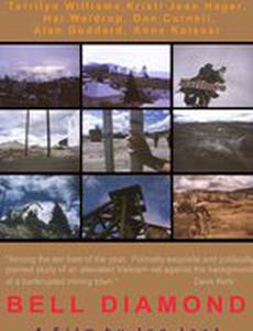 Алмазный колокол