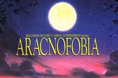 Боязнь пауков