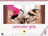 Постер Девочки из календаря