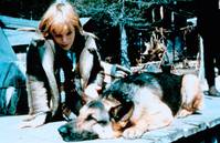 Кадр Возвращение Белого Клыка