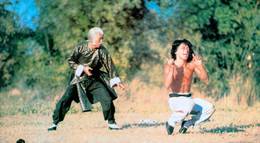 Кадр из фильма "Бесстрашная гиена" - 2