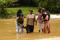 Кадр Бонобо