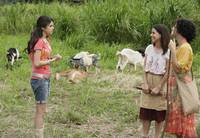 Кадр Волшебники из Вэйверли Плэйс в кино