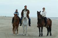 Кадр Остров лошадей