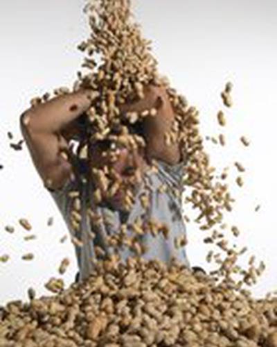 Нитин Соунэй фото