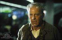 Кадр Розовый сад