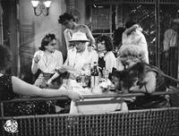 Кадр До свидания, Франциска