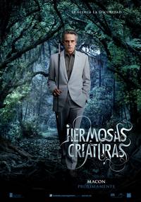 Постер Прекрасные создания