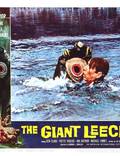 Постер из фильма "Нападение гигантских пиявок" - 1