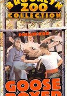 Гусь-боксёр