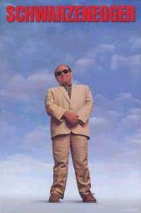 Постер Близнецы