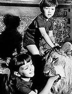 У меня есть лев