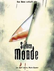 Sieben Monde