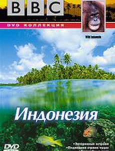 BBC: По странам и континентам. Индонезия