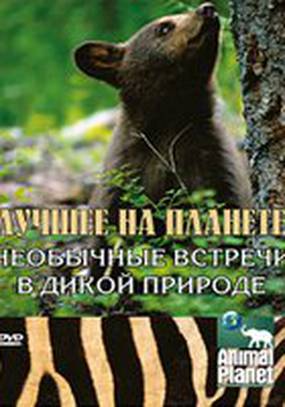 Animal Planet: Лучшее на планете