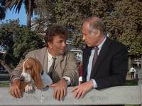 Кадр Коломбо: Гений и злодейство