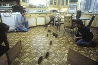 Кадр Уиллард