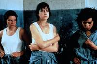 Кадр Маленькая воровка