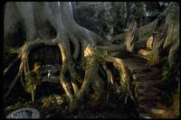 Кадр Властелин колец: Братство кольца