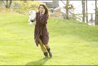 Кадр Предложение