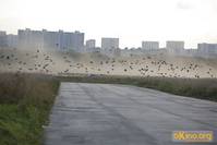 Кадр Самый лучший фильм