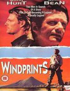 Следы ветра