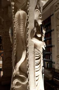 Кадр Прекрасные создания