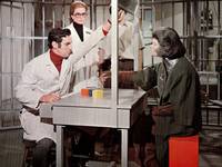 Кадр Бегство с планеты обезьян