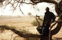 Кадр Когда ветер поднимает песок