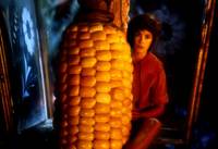 Кадр Капитан Крюк