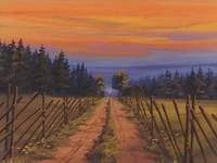 Кадр Катри, девочка с лугов